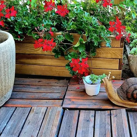 Σπίτι διακοπών La Casa Di Elma *